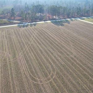 Photo #6 of Lot 38 Gulley Ln., Salters, SC 2.4 acres