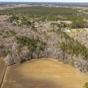 Drone / aerial view with a forest view