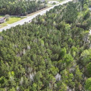 Birds eye view of property with a forest view