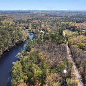 Aerial view with a forest view