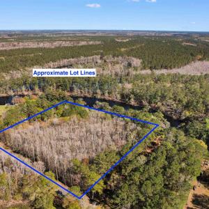 Drone / aerial view featuring a forest view
