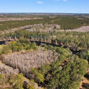 Drone / aerial view featuring a forest view