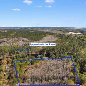Bird's eye view with a water view and a wooded vie
