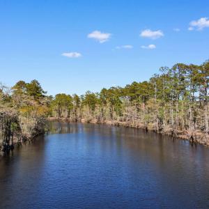 Property view of water with a forest view