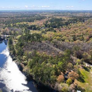Aerial view featuring a water view and a forest vi