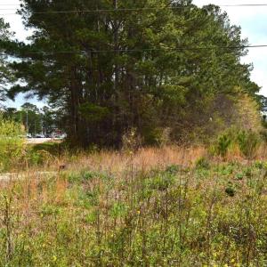 Photo #16 of Lot 1&2 Highway 501 E, Conway, SC 1.4 acres