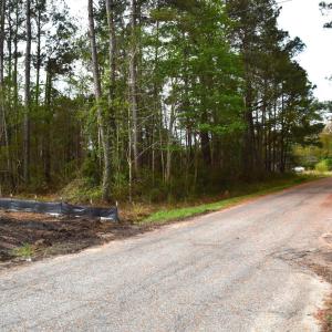 Photo #17 of Lot 1&2 Highway 501 E, Conway, SC 1.4 acres
