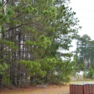 Photo #10 of Lot 1&2 Highway 501 E, Conway, SC 1.4 acres