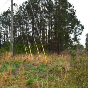 Photo #13 of Lot 1&2 Highway 501 E, Conway, SC 1.4 acres