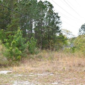 Photo #9 of Lot 1&2 Highway 501 E, Conway, SC 1.4 acres