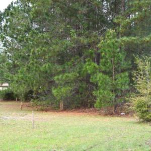 Photo #11 of Lot 1&2 Highway 501 E, Conway, SC 1.4 acres
