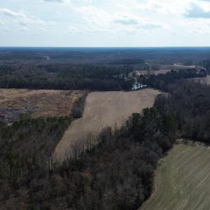 Bird's eye view with a forest view and a rural vie