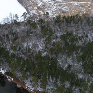 Birds eye view of property featuring a forest view