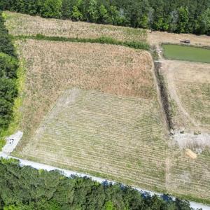 Photo #2 of Lot 7 Jewel Ln., Conway, SC 1.2 acres
