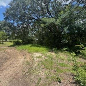 View of undeveloped land