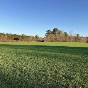 View of yard with a rural view