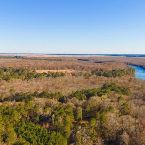 Drone / aerial view with a view of trees and a wat