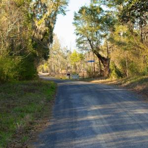 View of road featuring a forest view