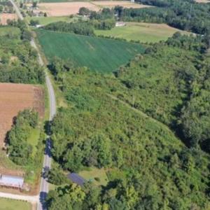 Photo #2 of Tract 3 Borkowitz Rd., Scranton, SC 3.3 acres