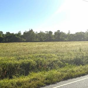 Photo #3 of Tract 4 Borkowitz Rd., Scranton, SC 4.4 acres