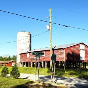 Photo #1 of TBD Red Barn Tr Borkowitz Rd., Scranton, SC 7.8 acres