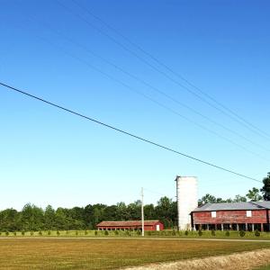 Photo #4 of TBD Red Barn Tr Borkowitz Rd., Scranton, SC 7.8 acres