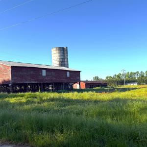 Photo #6 of TBD Red Barn Tr Borkowitz Rd., Scranton, SC 7.8 acres