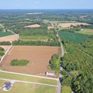 Photo #8 of TBD Red Barn Tr Borkowitz Rd., Scranton, SC 7.8 acres