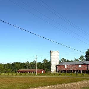 Photo #3 of TBD Red Barn Tr Borkowitz Rd., Scranton, SC 7.8 acres