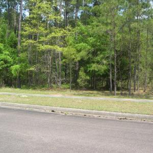 View of street featuring a wooded view, sidewalks,
