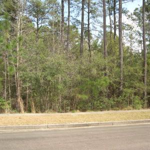 View of road with a wooded view, sidewalks, and cu