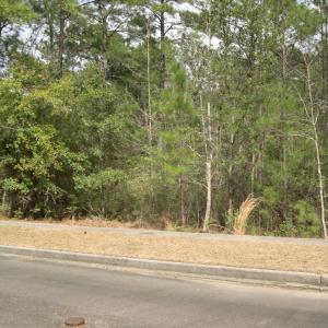 View of road with curbs, sidewalks, and a wooded v