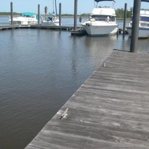 View of dock with a water view