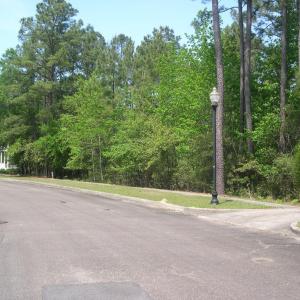View of road with street lighting and curbs