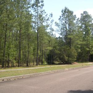 View of street with curbs, sidewalks, and a wooded