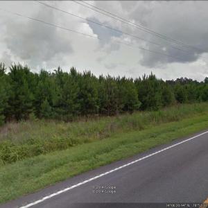 View of street with a wooded view