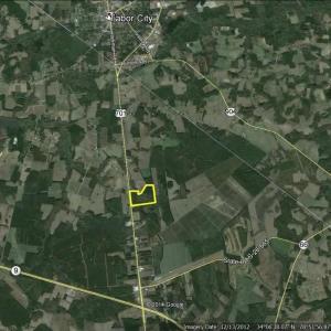 Photo #3 of TBD100 Highway 701 North, Loris, SC 40.9 acres
