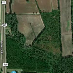 Photo #5 of TBD100 Highway 701 North, Loris, SC 40.9 acres