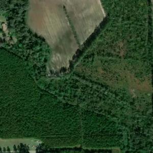 Photo #4 of TBD100 Highway 701 North, Loris, SC 40.9 acres