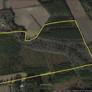 Photo #1 of TBD100 Highway 701 North, Loris, SC 40.9 acres