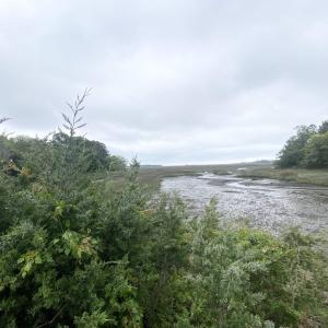 View of the INLET.