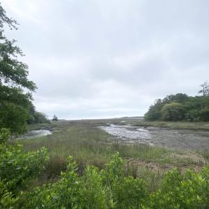 View of Inlet
