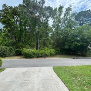 View of Lot from the Road