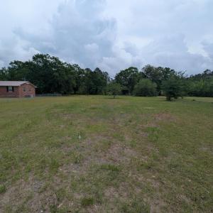 View of yard with fence, a view of trees, and a ru