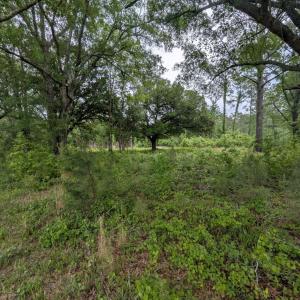 View of landscape featuring a wooded view