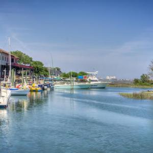 Photo #3 of TBD Betts Rd., Murrells Inlet, SC 20.8 acres