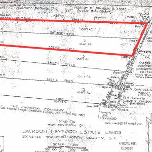 Photo #4 of TBD Betts Rd., Murrells Inlet, SC 20.8 acres