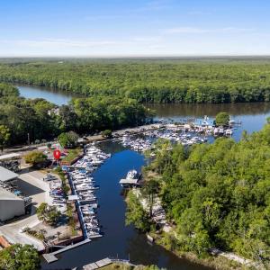 Drone / aerial view with a water view and a forest