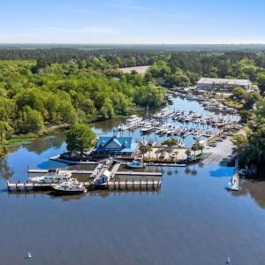 Bird's eye view with a view of trees and a water v