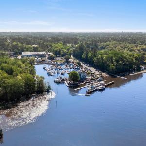 Drone / aerial view with a forest view and a water